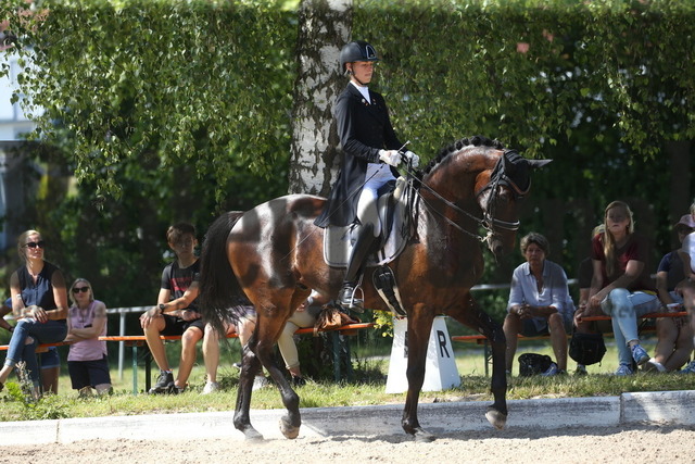 Ilsfeld_2022_Dressur_Kl.S_dreiSterne_Ann-Kathrin Lindner_FBW Lord of Dance (4) | Alle Fotos der Reiterjournal Fotografin Doris Matthaes im Reiterjournal Online-Fotoshop. - Realisiert mit Pictrs.com