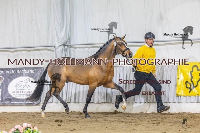 17 (6) | mandyhollmannphotographie