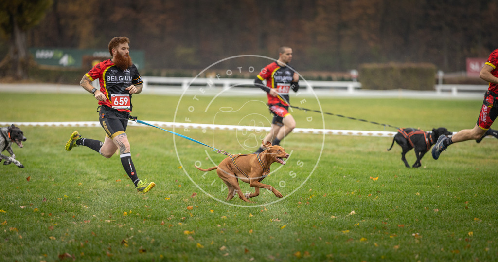 CaniXpix_DV3A9500 | Hundefotografie, Tierfotograf, Pfotenfotografie, Fotoshooting Hund, Hunde Portrait, Hundesport, Hundeportraits, Heideshooting, Hunde, Sportfotograf, Hundefotograf, Turnierhundsport, THS,  - Realisiert mit Pictrs.com
