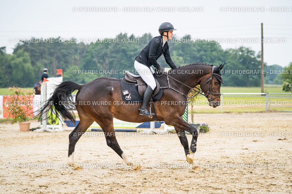 DSC09808 | Pferdegrafie