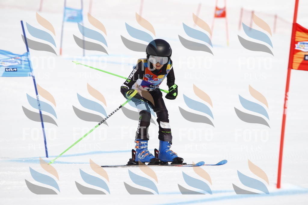 _U3G4631 | holidayphoto