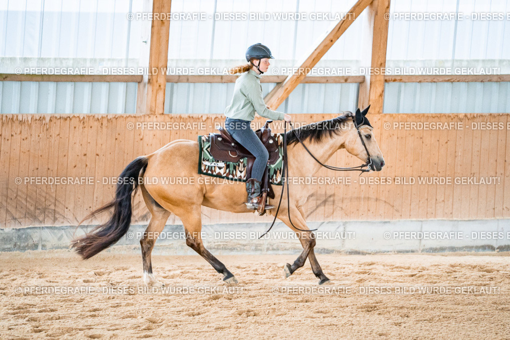 DSC09690 | Pferdegrafie