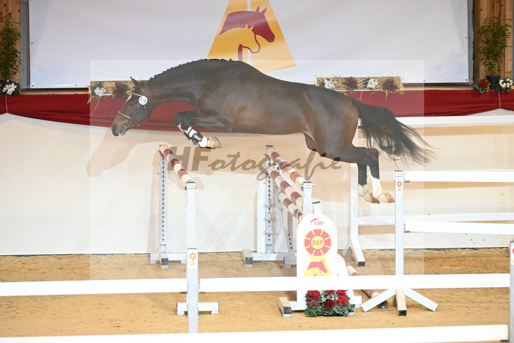 Kat-Nr. 18 Del Arko d Henvet_Mueller-Schwender_1230878 | hf-fotografie - Realizzato con Pictrs.com