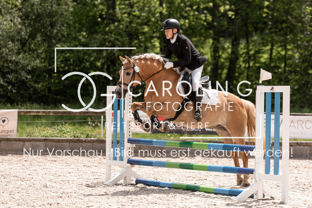 DSC_0554 | Turnierfotografin Carolin Gieschke, Turnierfotografie Carolin G Fotografie, Turnierfotos Kirchheim/Teck, Esslingen, Stuttgart, Bodenseekreis