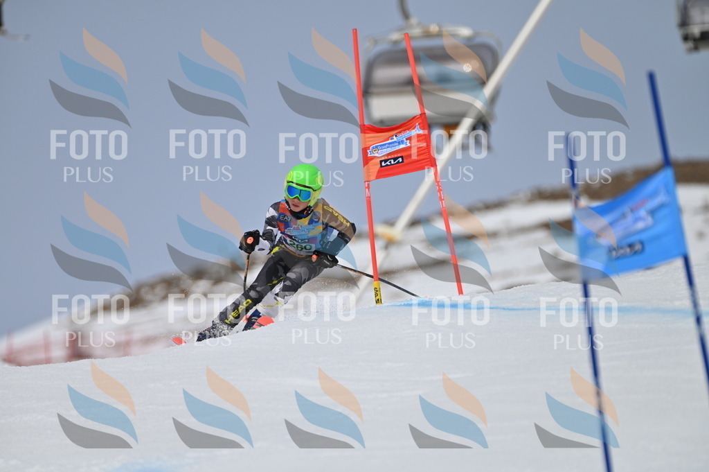 BGV_5150 | holidayphoto