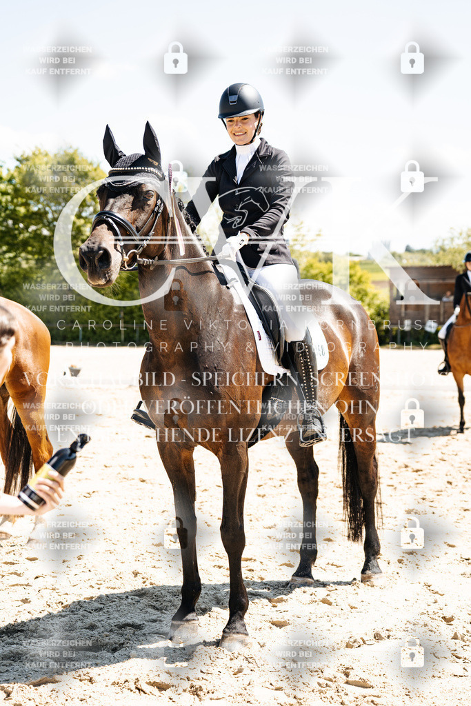 CK703532 | Turnierfotografie Pferdefotografie Trier Rheinland-Pfalz Pferdesport Reitsport Tierfotografie Sportfotografie Pferdevideo Pferdevideografie Equestrianvideography equestrianphotography  - Realisiert mit Pictrs.com