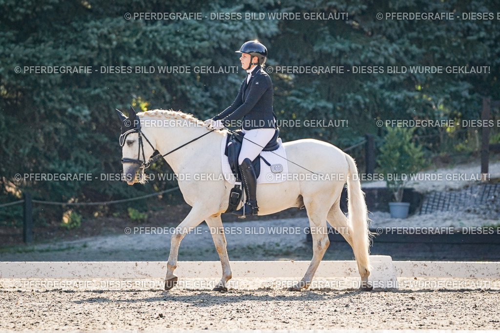 DSC08706 | Pferdegrafie