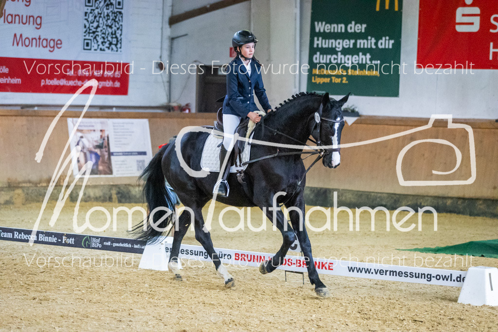 Sth-WBO25-DrR-110 | MomenTaufnahmen Pferdesportfotos