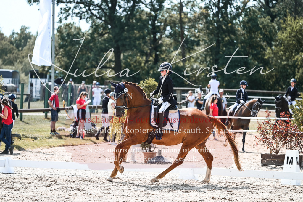 DSC_5111 | Pferde- und Turnierfotografie in Westsachsen. Pferdeportraits, Auftragszeichnungen und intuitive Kunst.