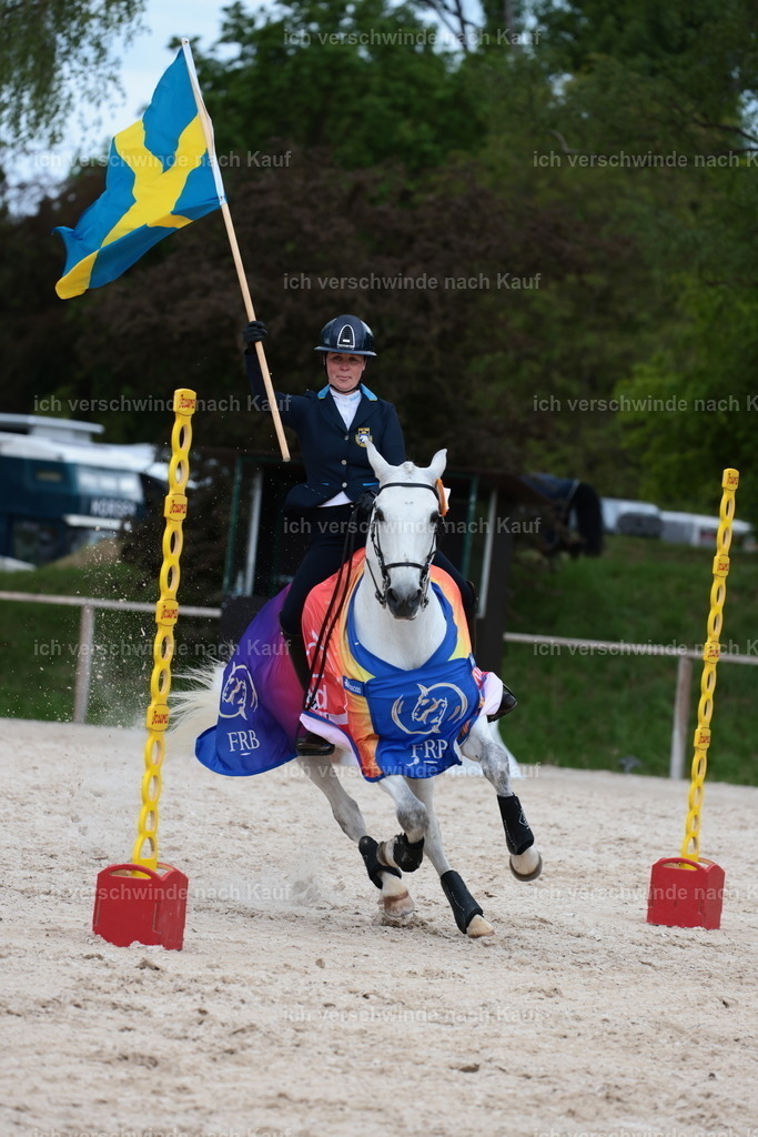 PI26_ST_StoibphotographyC2_L9361.JPG | working equitationturnier fotograf videograf stoibphotography marixx film working equitation deutschland reitsport turnierfotografie eventfotografie equestrian events