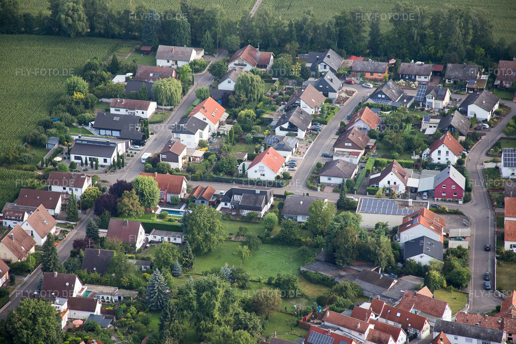 Luftbild: Billigheim-Ingenheim, Maxburgstr im Ortsteil Billigheim in Billigheim-Ingenheim im Bundesland Rheinland-Pfalz in Deutschland. Foto: IMG_092726.jpg vom 13.08.2016 durch Werner Riehm/FLY-FOTO.de