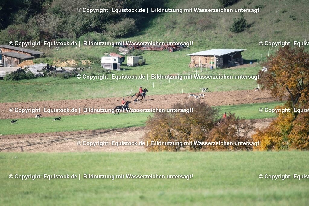 20251011_Jagd-Marbach_0195 | Foto: Thomas Hartig