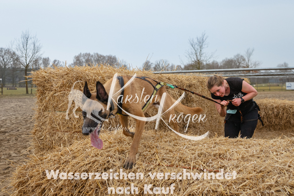 0819_ZZ92444 | kk-dogfotos