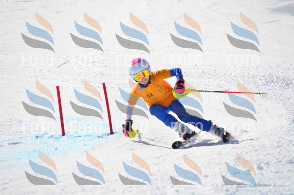 C8447 | holidayphoto