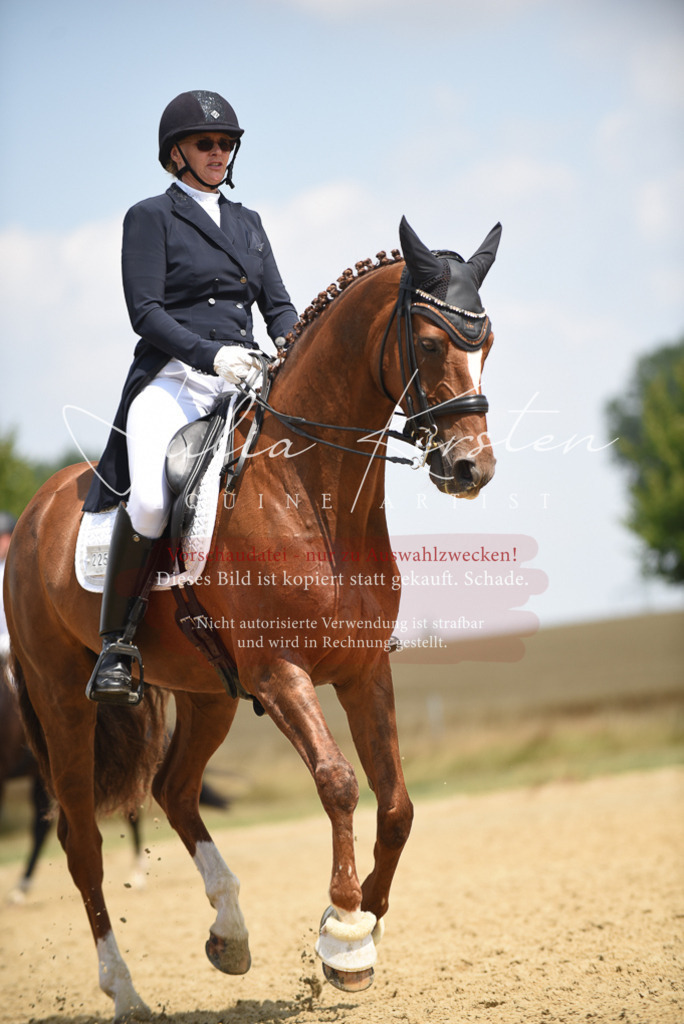 DSC_4290 | Pferde- und Turnierfotografie in Westsachsen. Pferdeportraits, Auftragszeichnungen und intuitive Kunst.