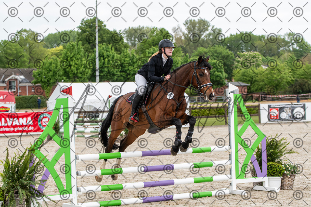 KPT_7556 | andre_photographic