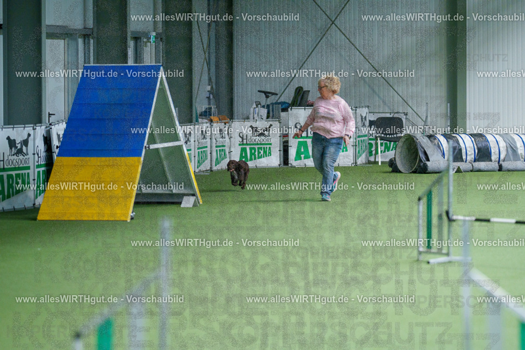 @allesWIRTHgut_Tierfotografie - www.allesWIRTHgut.de - 2604260826-7R506886 | Professionelle Tierfotografie in Mönchengladbach von Daniel Wirth (allesWIRTHgut). Liebevolle & natürliche Bilder von Hunden & Katzen für unvergessliche Erinnerungen.