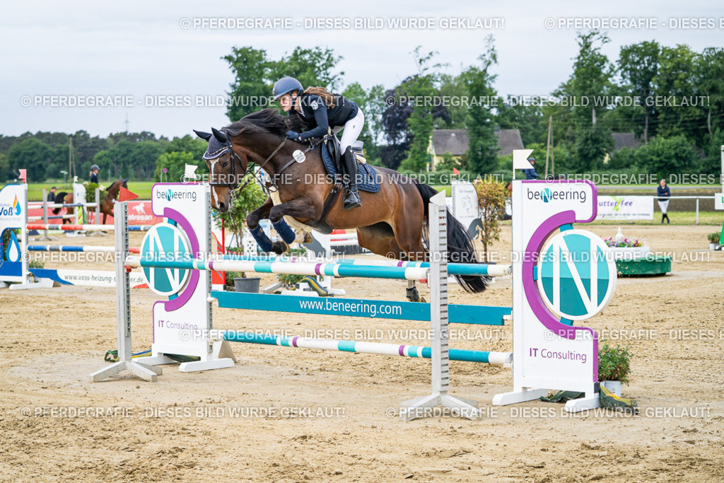 DSC04919 | Pferdegrafie