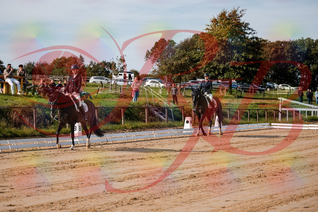 2026_10_03_Siefer-Hof_113252_Z63_19324188 | Professionelle Reitsport-, Turnier- und Eventfotografie von Robert Broda. Galerien mit ausgewählten und bearbeiteten Bildern direkt online ansehen und bestellen.