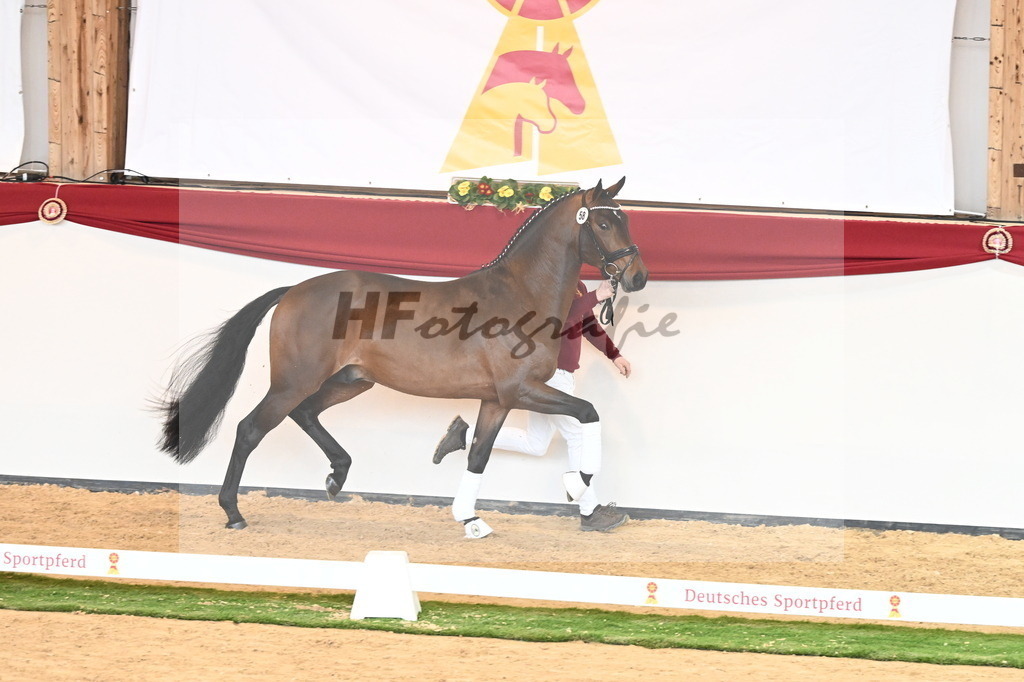 Kat.-Nr. 58 v. Monte Carlo TC_Fischer_2240845 | hf-fotografie - Realisiert mit Pictrs.com