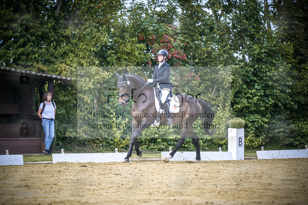 DOS_5881 | Entdecke hochwertige Reitturnierfotos von Foto Oger. Professionell, emotional und authentisch – jetzt Lieblingsmomente im Shop bestellen. - Realisiert mit Pictrs.com