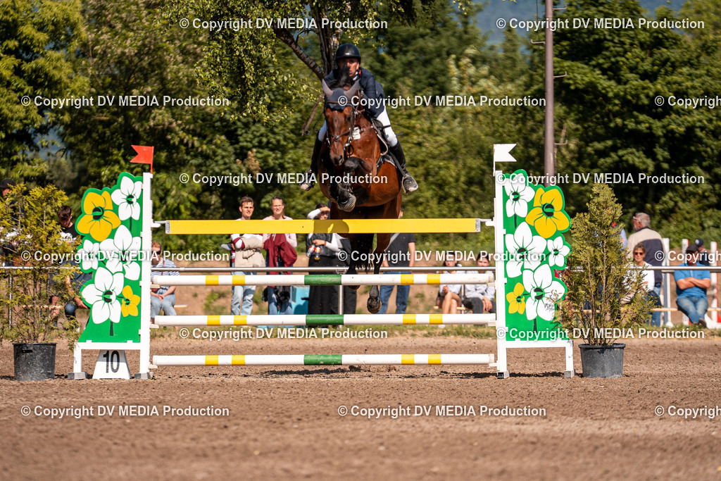 Eppelheim Tag 3-912 | dv-media-shop - Realisiert mit Pictrs.com