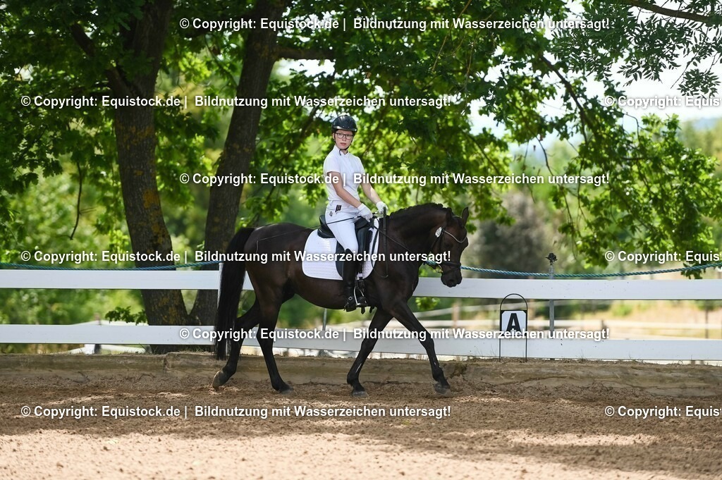 20230715_09_Dressur-WB_0198 | equistock