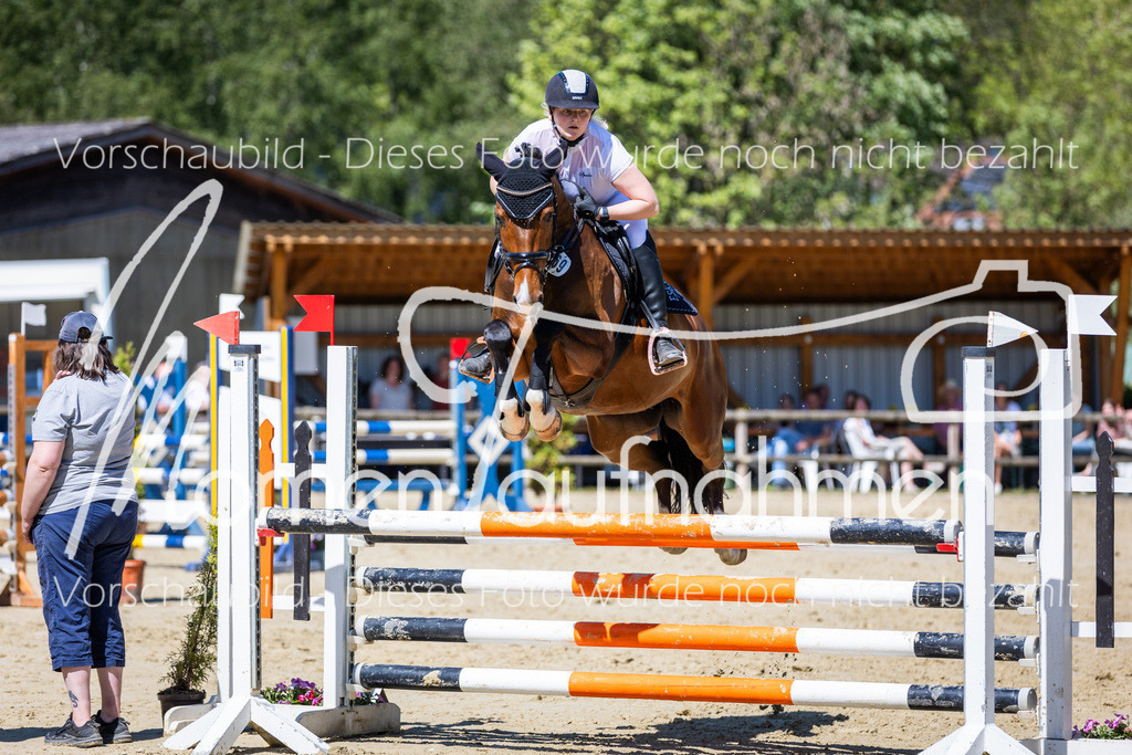 Donop24-ASprmstA-089 | MomenTaufnahmen Pferdesportfotos