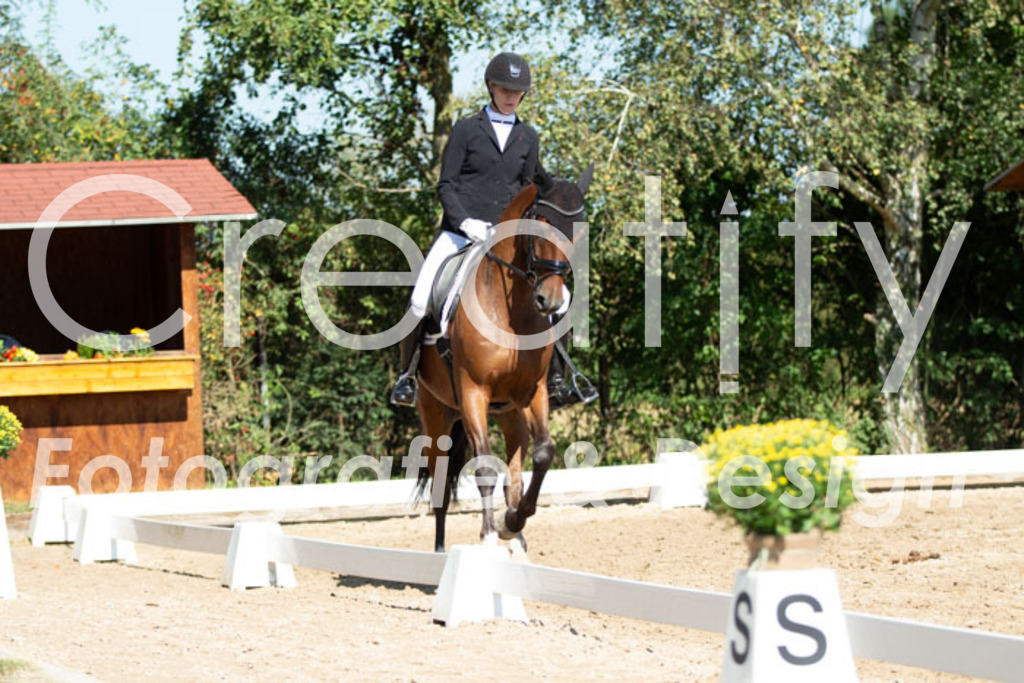 IMG_4014 | Creatify Fotografie