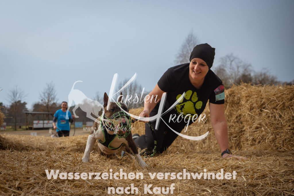 1134_ZZ94537 | kk-dogfotos