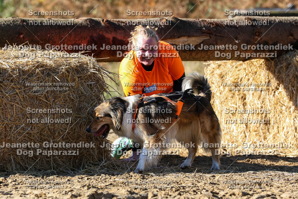 Dog Paparazzi - Strongdog 10-25-2605 | Dog Paparazzi Jeanette Grottendiek Fotografie & Videografie - Realisiert mit Pictrs.com