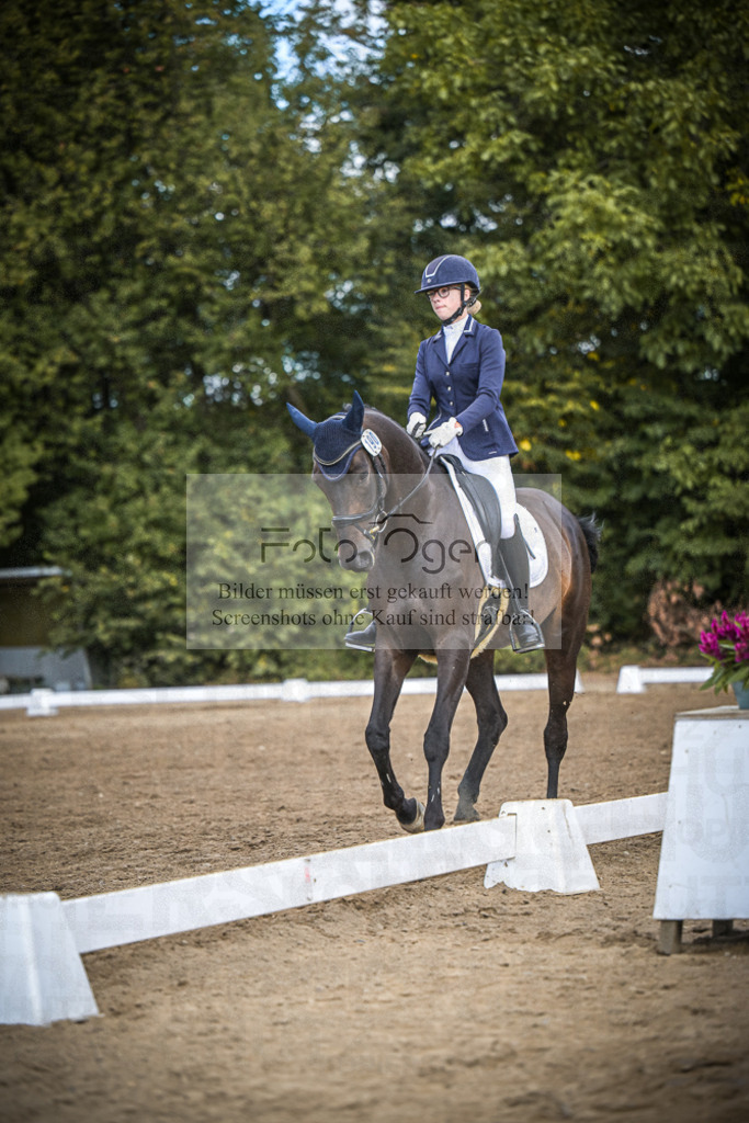 DOS_4586 | Entdecke hochwertige Reitturnierfotos von Foto Oger. Professionell, emotional und authentisch – jetzt Lieblingsmomente im Shop bestellen.Deutschlandweite Turnierfotografie. - Realisiert mit Pictrs.com