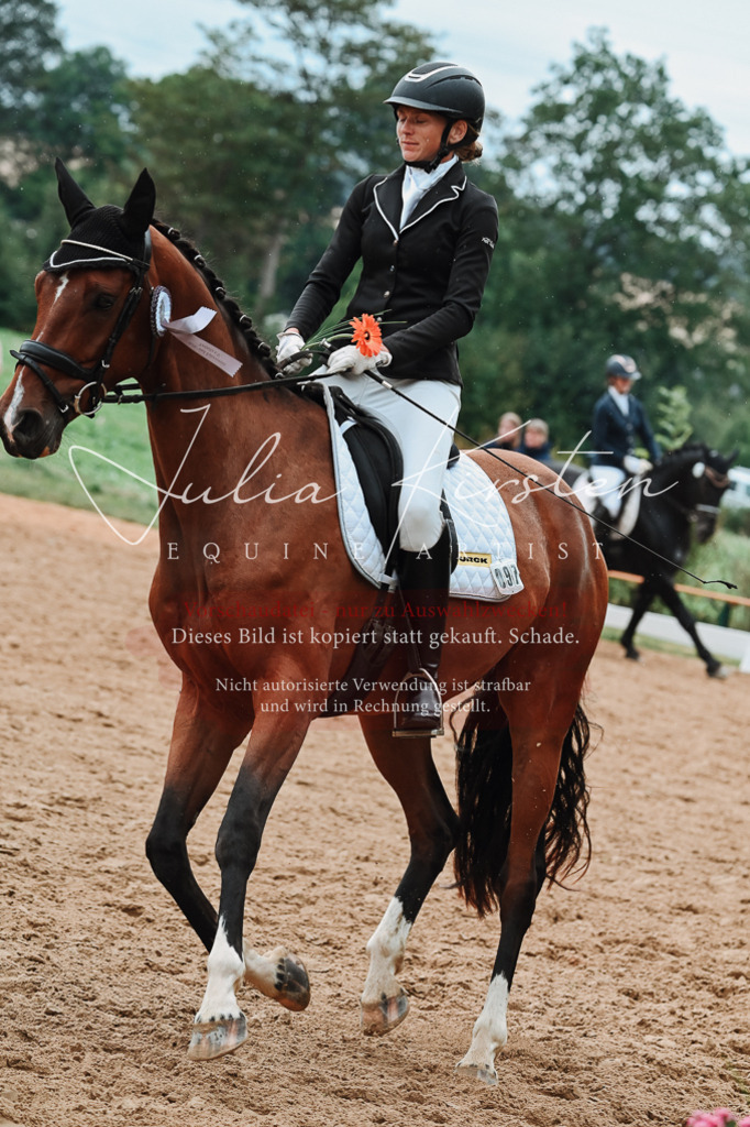 DSC_7287 | Pferde- und Turnierfotografie in Westsachsen. Pferdeportraits, Auftragszeichnungen und intuitive Kunst.