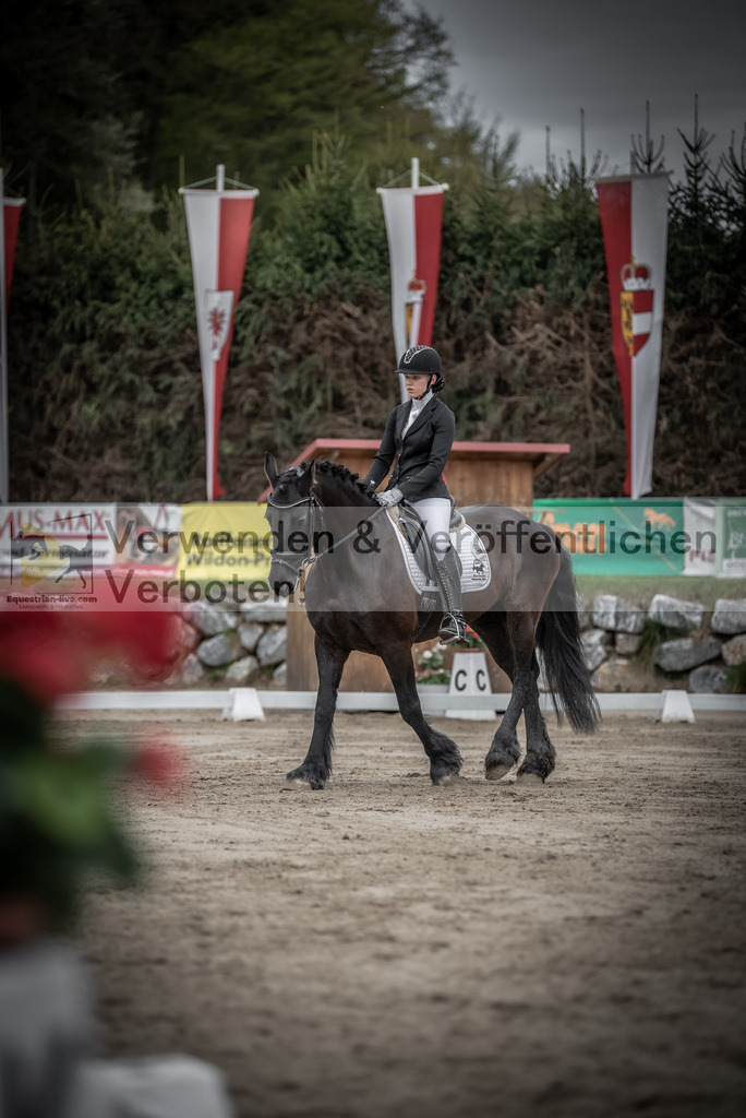 DSC_9255 | equestrian-live-com