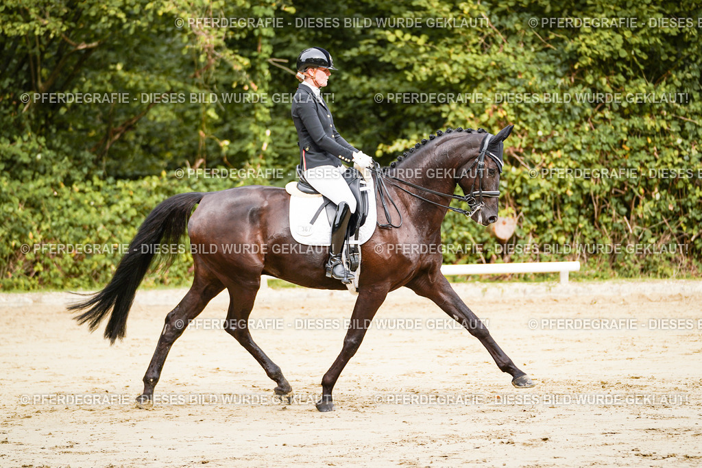 DSC02213 | Pferdegrafie