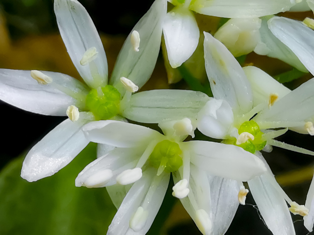 PSX_20230602_231237 | mtkfoto_ - Realisiert mit Pictrs.com