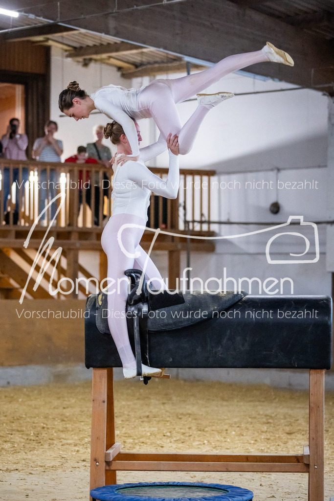 Holzpferd-116 | MomenTaufnahmen Pferdesportfotos