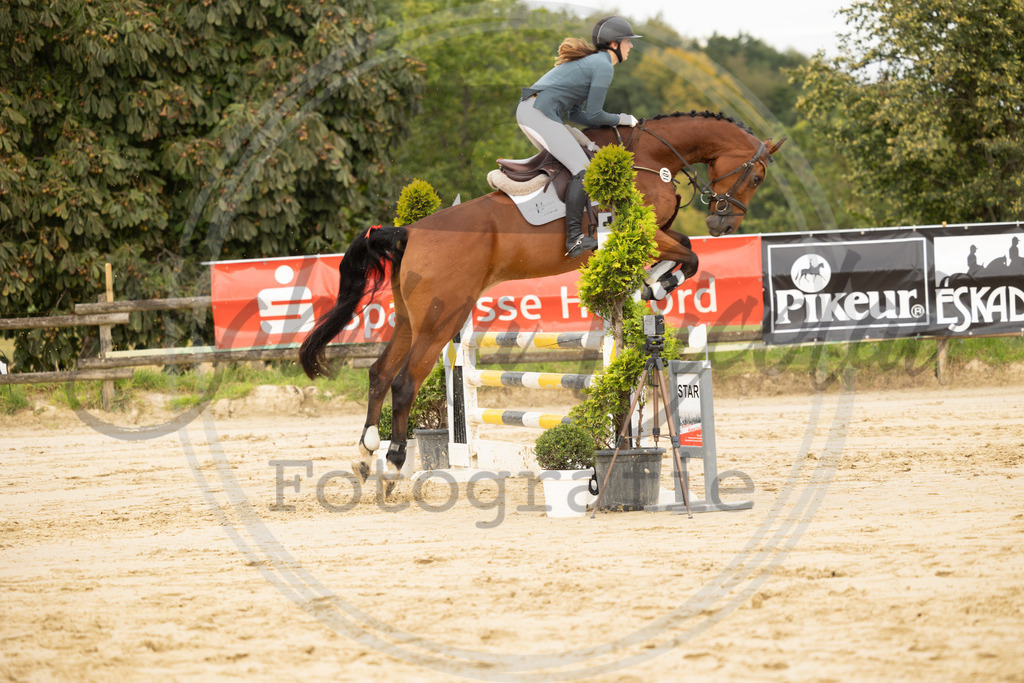 994A8746 | sabrinanicolaifotografie - Realisiert mit Pictrs.com