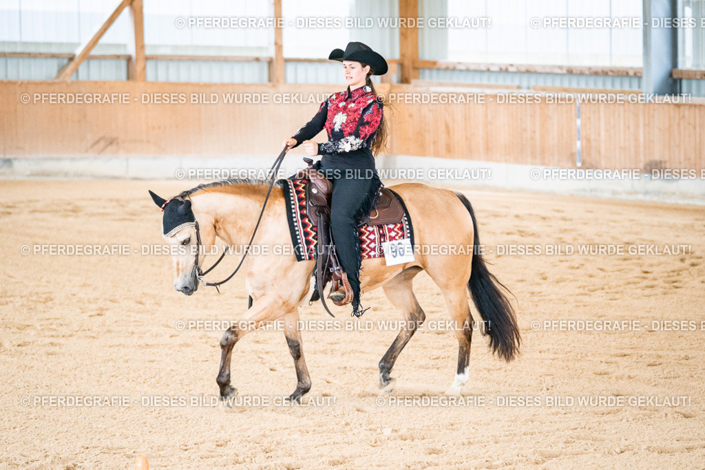 DSC01768 | Pferdegrafie