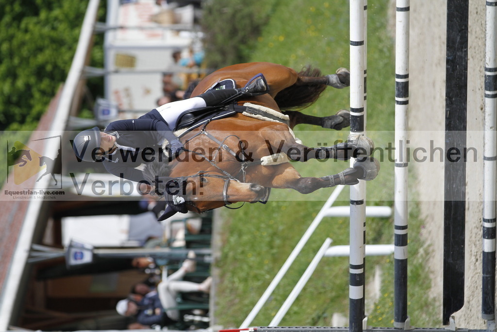 _MG_8696 | equestrian-live-com