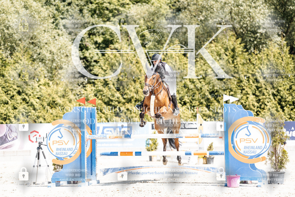 CK900607 | Turnierfotografie Pferdefotografie Trier Rheinland-Pfalz Pferdesport Reitsport Tierfotografie Sportfotografie Pferdevideo Pferdevideografie Equestrianvideography equestrianphotography  - Realisiert mit Pictrs.com