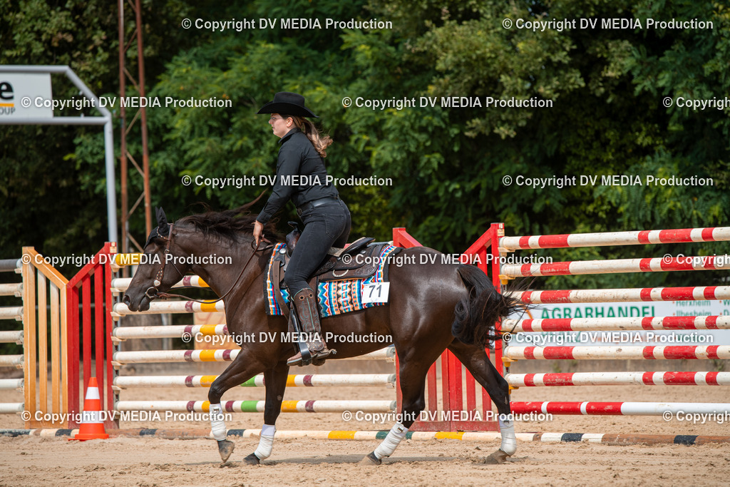 ZS3_9484 | dv-media-shop - Realisiert mit Pictrs.com