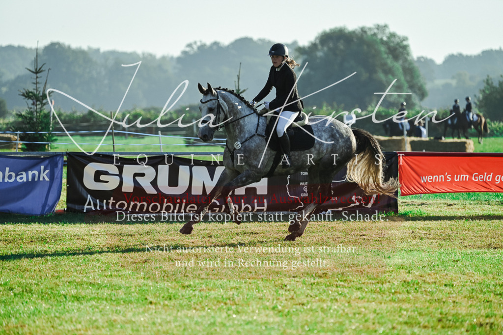 DSC_4149 | Pferde- und Turnierfotografie in Westsachsen. Pferdeportraits, Auftragszeichnungen und intuitive Kunst.