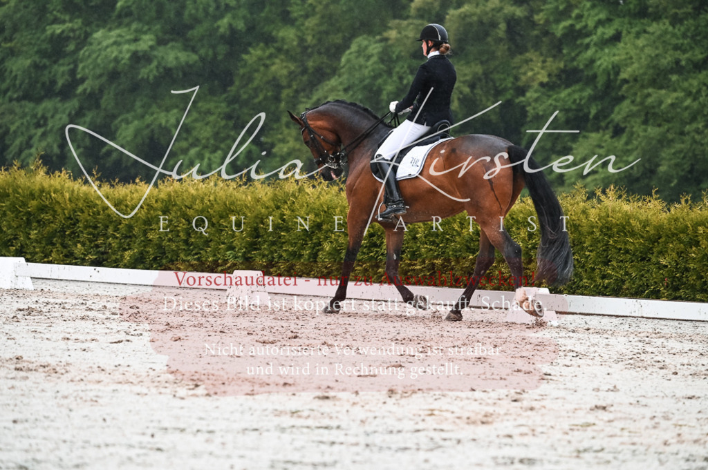 DSC_4563 | Pferde- und Turnierfotografie in Westsachsen. Pferdeportraits, Auftragszeichnungen und intuitive Kunst.