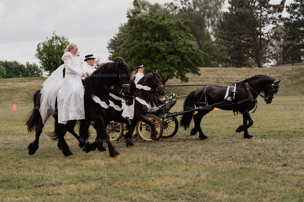 Showprogramm-308 | working equitationturnier fotograf videograf stoibphotography marixx film working equitation deutschland reitsport turnierfotografie eventfotografie equestrian events