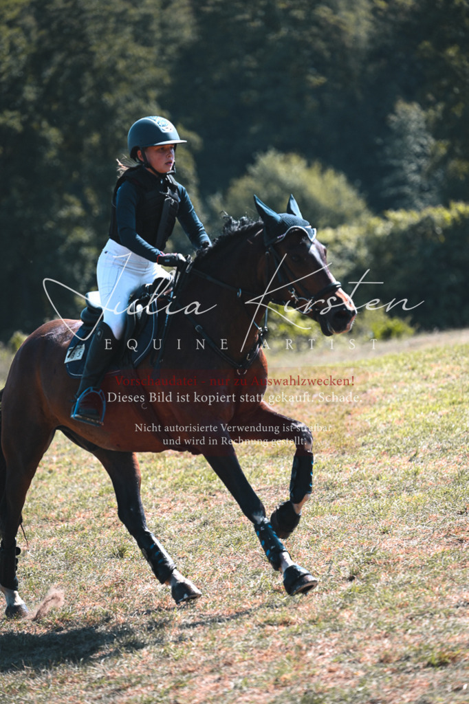 DSC_8384 | Pferde- und Turnierfotografie in Westsachsen. Pferdeportraits, Auftragszeichnungen und intuitive Kunst.