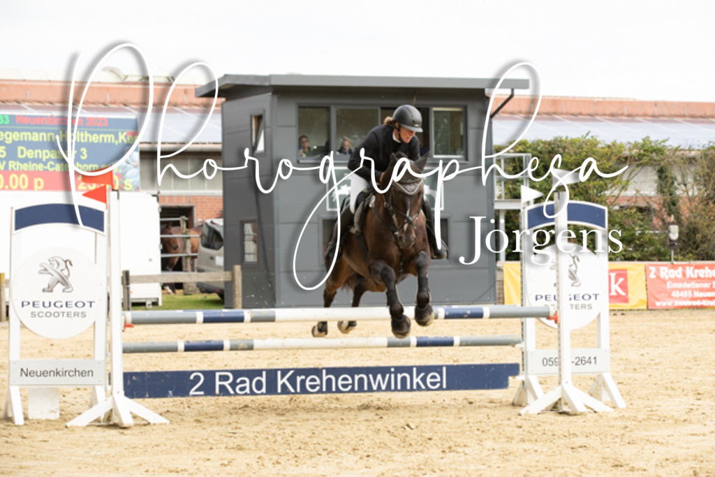 IMG_6599 | photographesa-joergens - Realisiert mit Pictrs.com