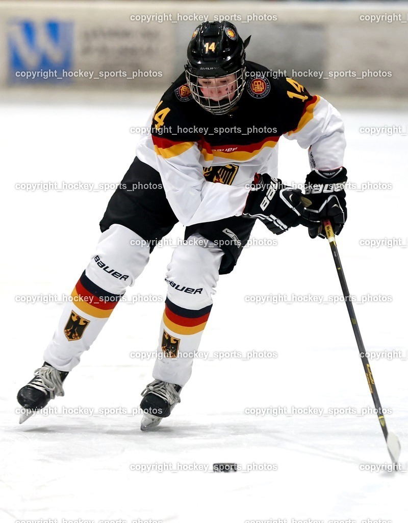 MOWE2354 | hockey sports photos, Pressefotos, Sportfotos, hockey247, win 2day icehockeyleague, Handball Austria, Floorball Austria, ÖVV, Kärntner Eishockeyverband, KEHV, KFV, Kärntner Fussballverband, Österreichischer Volleyballverband, Alps Hockey League, ÖFB, 
