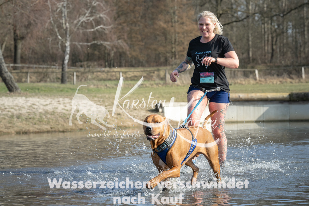 1342_ZZ97938 | kk-dogfotos