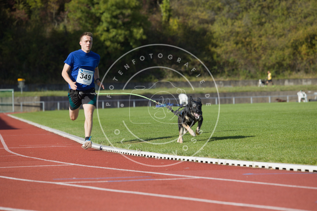 0L8A9492 | Hundefotografie, Tierfotograf, Pfotenfotografie, Fotoshooting Hund, Hunde Portrait, Hundesport, Hundeportraits, Heideshooting, Hunde, Sportfotograf, Hundefotograf, Turnierhundsport, THS,  - Realisiert mit Pictrs.com